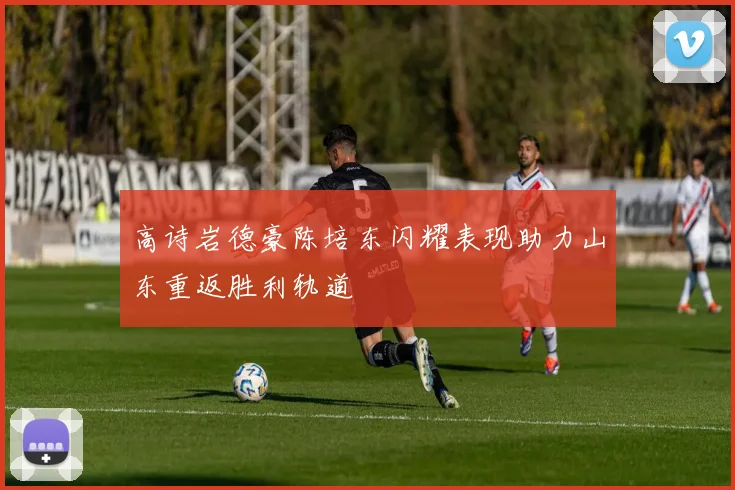 高诗岩德豪陈培东闪耀表现助力山东重返胜利轨道
